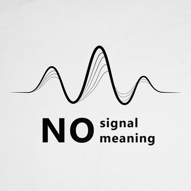 Bluza Kangurka No Signal No Meaning