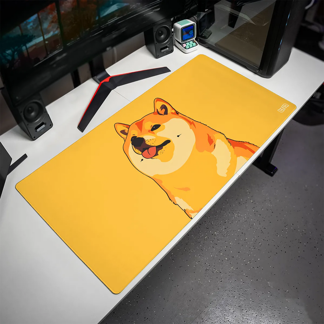 #rozmiar_100x50
